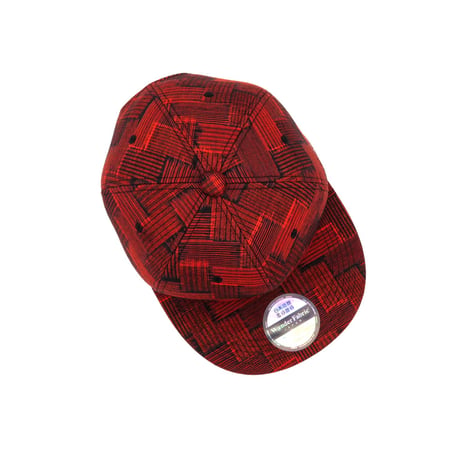 HONJOKASURI CAP:302
