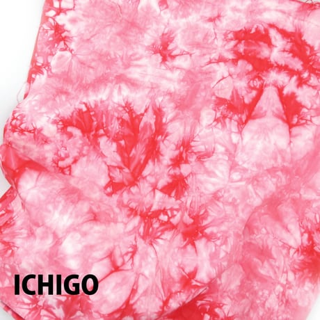 ICHIGO Shoulder BAG：苺染め (桜/苺/柚子/小松菜/ブルーベリー)