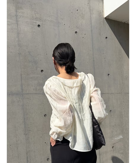 frill chiffon blouse