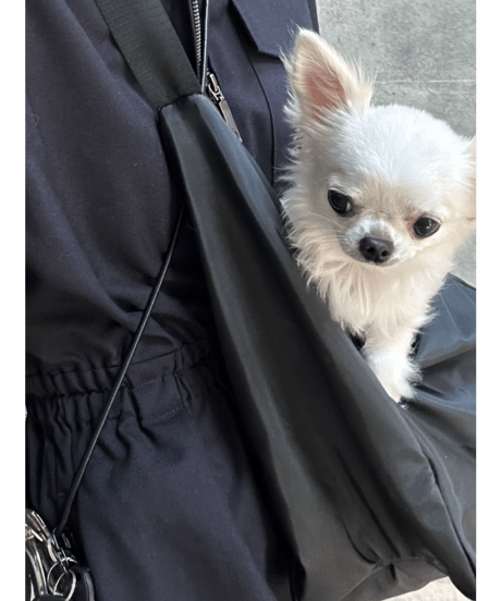 【再入荷】nylon big shoulder bag