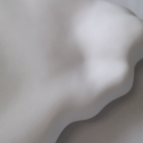 ZUIUN-瑞雲-