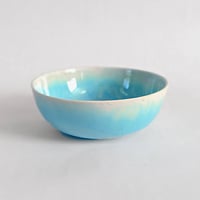 Melt series bowl - 湖