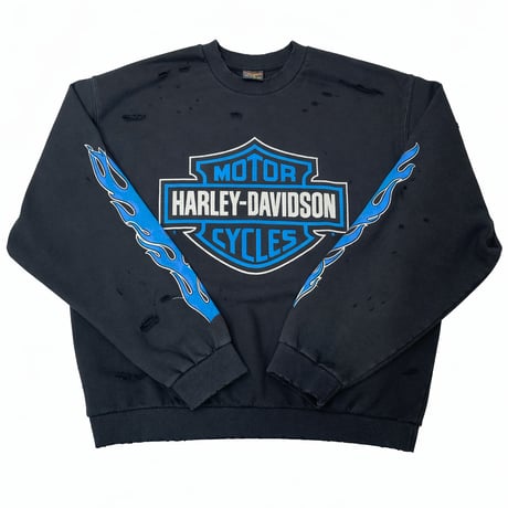 ARCHIVE/ HARLEY TRAINER SET