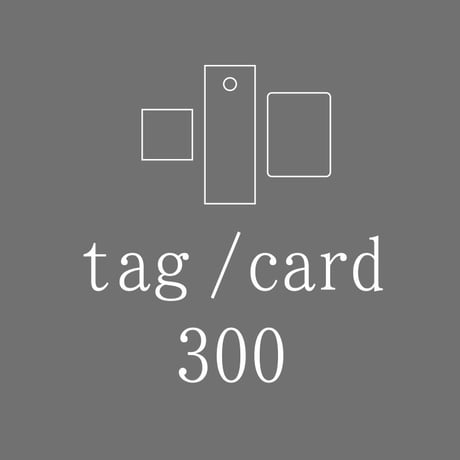 tag / card  300