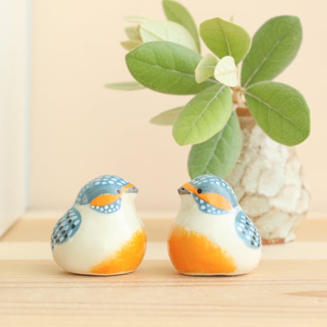 カワセミ | STORES