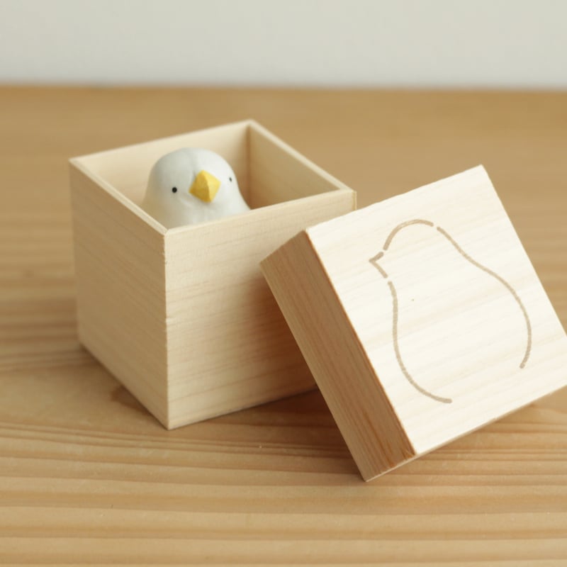 オカメインコ（パイド） | 陶ノ鳥 ひよこや