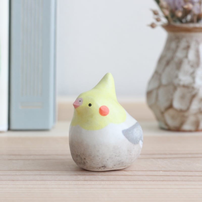 オカメインコ（パイド） | 陶ノ鳥 ひよこや