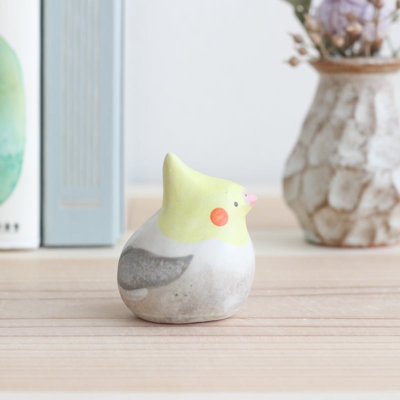 オカメインコ（パイド） | 陶ノ鳥 ひよこや