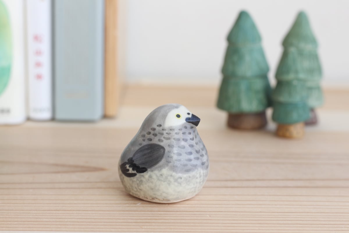 ヨウム | 陶ノ鳥 ひよこや