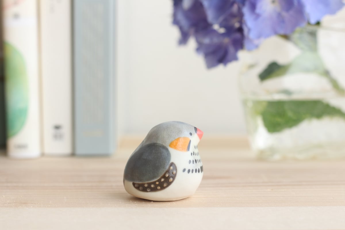 【珍品 現品限り】パラタイプ・コノハチョウ（1オス・タイ産） 2025年最新】コノハチョウの人気アイテム - メルカリ