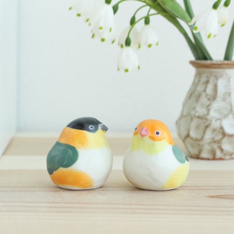 シロハラインコの石絵ストーンアート シロハラインコの石絵ストーンアート シロハラインコ【色鉛筆画