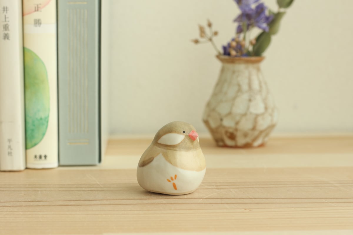 シナモン文鳥さま専用ページ シナモン文鳥 の販売一覧| 千葉県・栃木県・神奈川県・埼玉県の