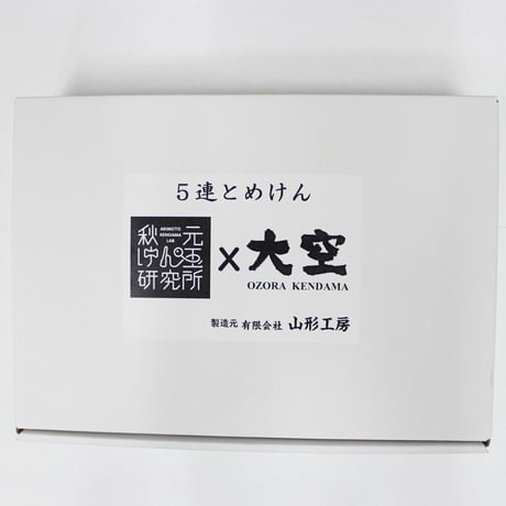 5連とめけん