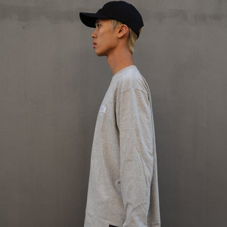 OZORA430 L/S TEE ASH