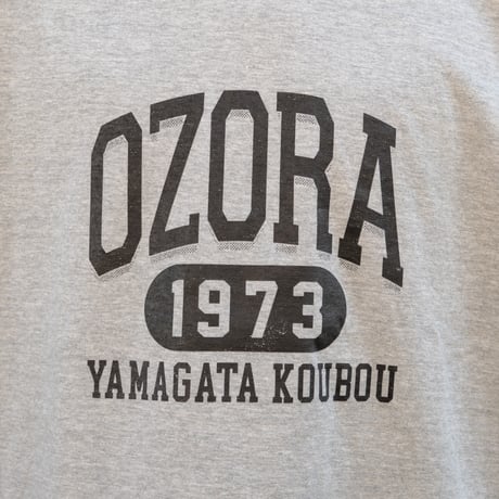 OZORA430 S/S TEE ASH
