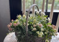 寄植え　バスケット
