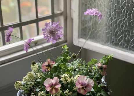 寄植え　ホーロー