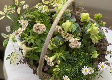 寄植え　バスケット