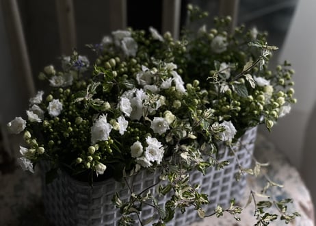寄植え　ブリキ