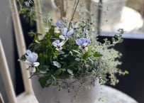寄植え　陶器