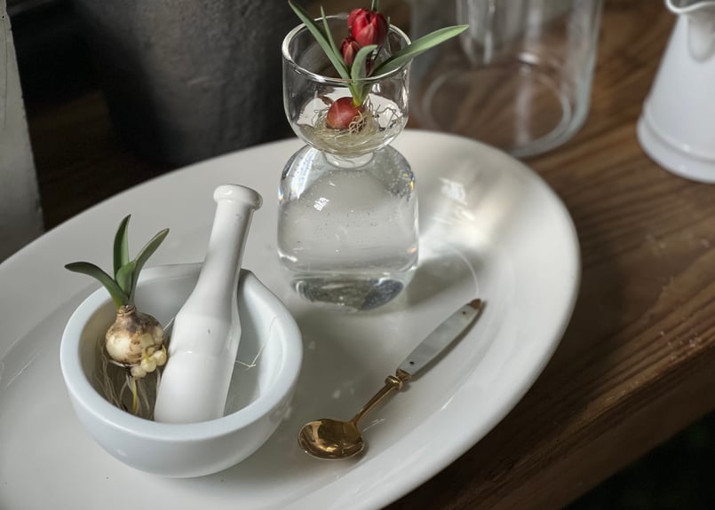 フランスアンティーク すり鉢 | kiccorie