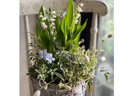 寄植え　陶器
