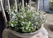 寄植え　陶器