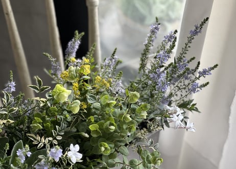 寄植え　ブリキ