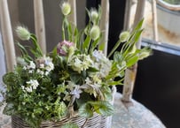寄植え　バスケット