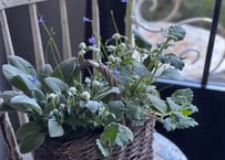 寄植え　バスケット