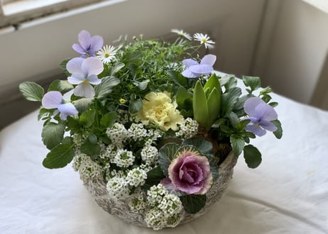 寄植え　陶器