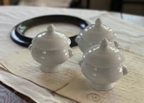 サルグミンヌ アグレスト ラヴィエ | kiccorie