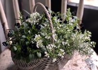 寄植え　バスケット
