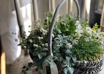 寄植え　バスケット