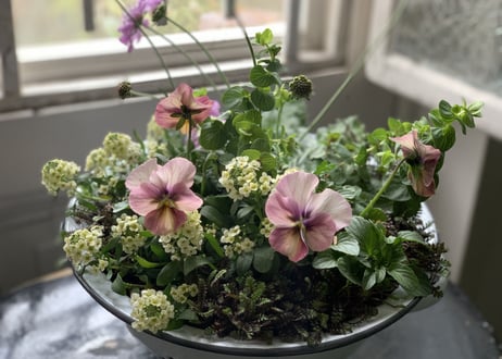 寄植え　ホーロー