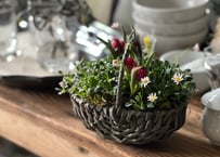 寄植え　バスケット