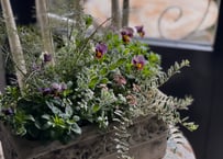 寄植え　陶器