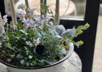 寄植え　ホーロー