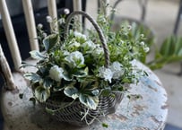 寄植え　バスケット