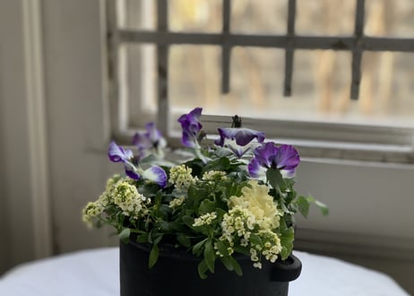 寄植え　陶器