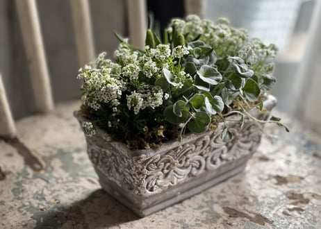 寄植え　陶器