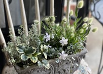 寄植え　陶器