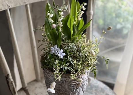 寄植え　陶器