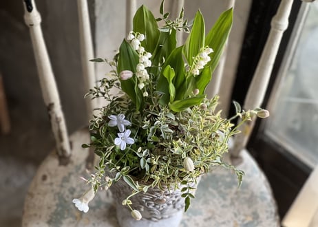 寄植え　陶器