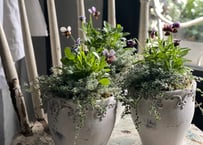 【S様専用】寄植え　陶器×3