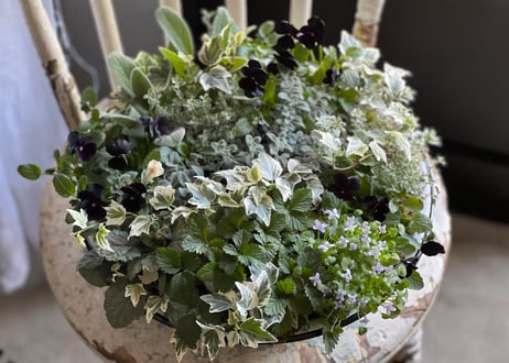 寄植え　ホーロー