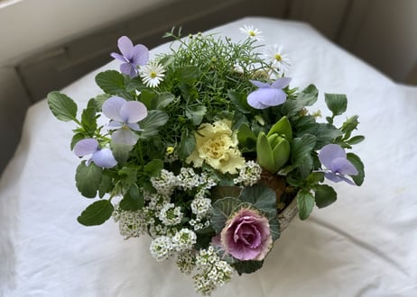 寄植え　陶器