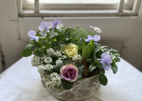 寄植え　陶器