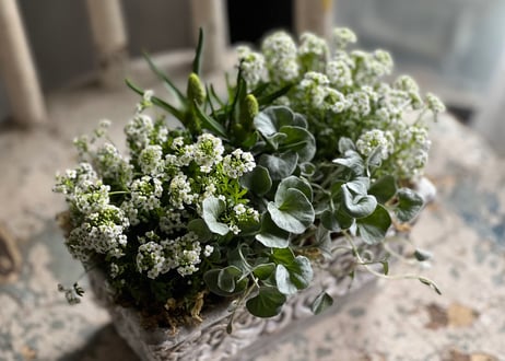 寄植え　陶器
