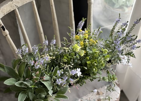 寄植え　ブリキ